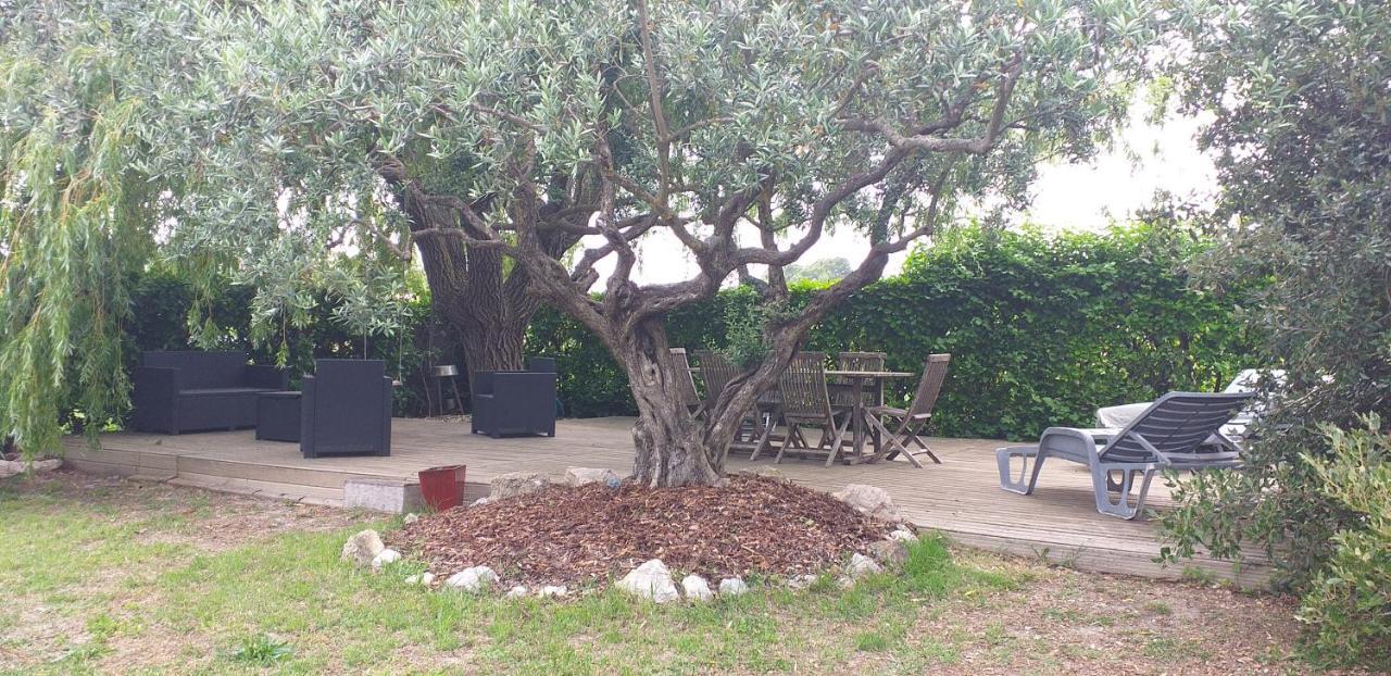 Un Petit Coin De Paradis Modene Εξωτερικό φωτογραφία