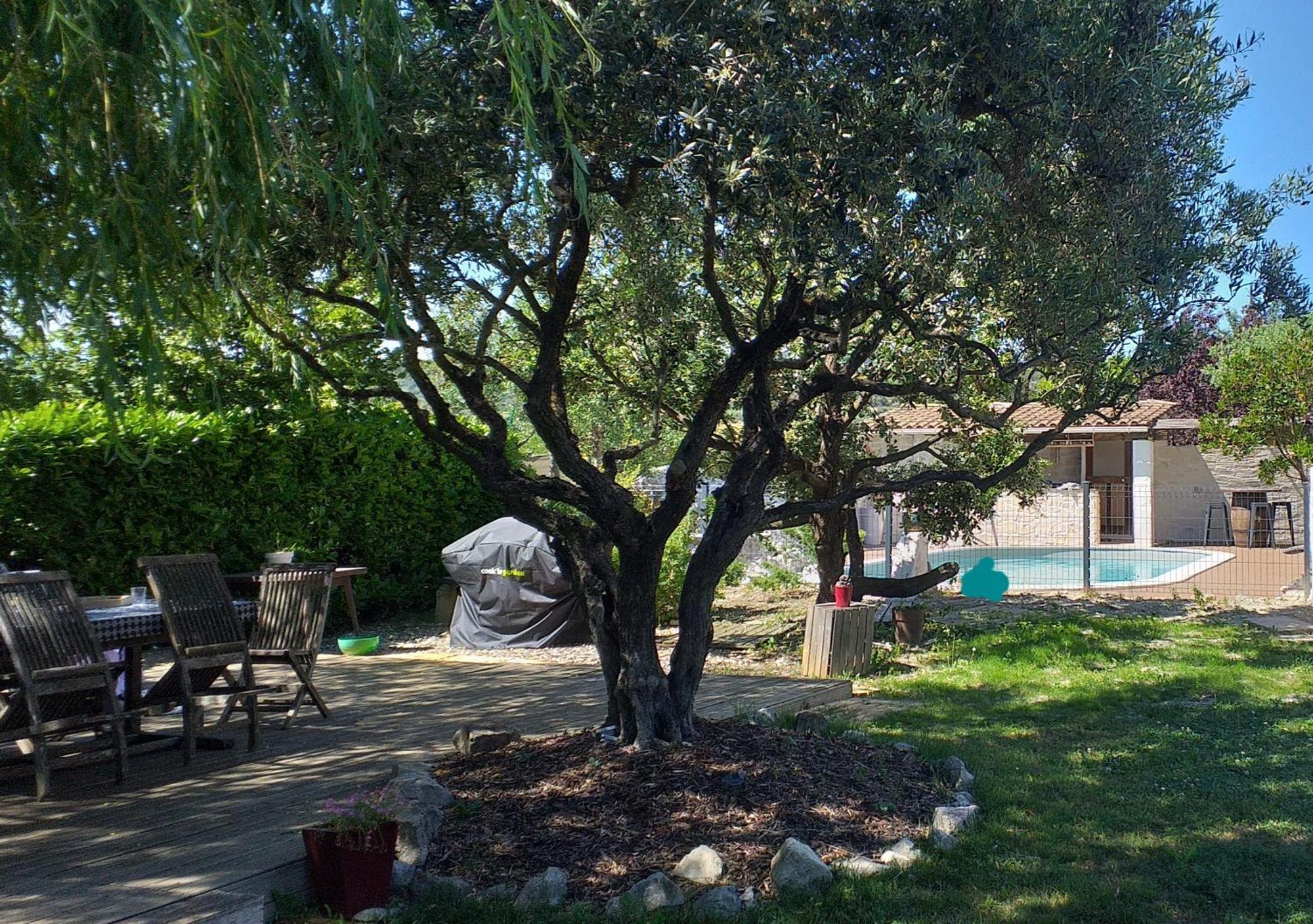 Un Petit Coin De Paradis Modene Εξωτερικό φωτογραφία